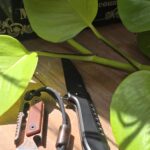 Mondays are heavy, so I’m carrying accordingly.