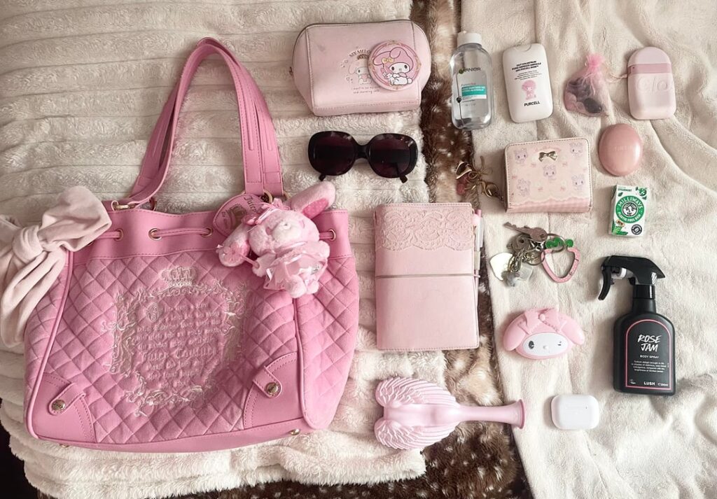 my daily handbag ♡