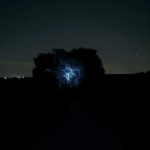 Second time out with the M21A UV. First time trying to capture some fluorescence.