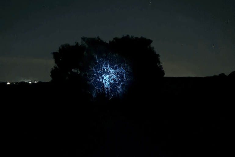 Second time out with the M21A UV. First time trying to capture some fluorescence.