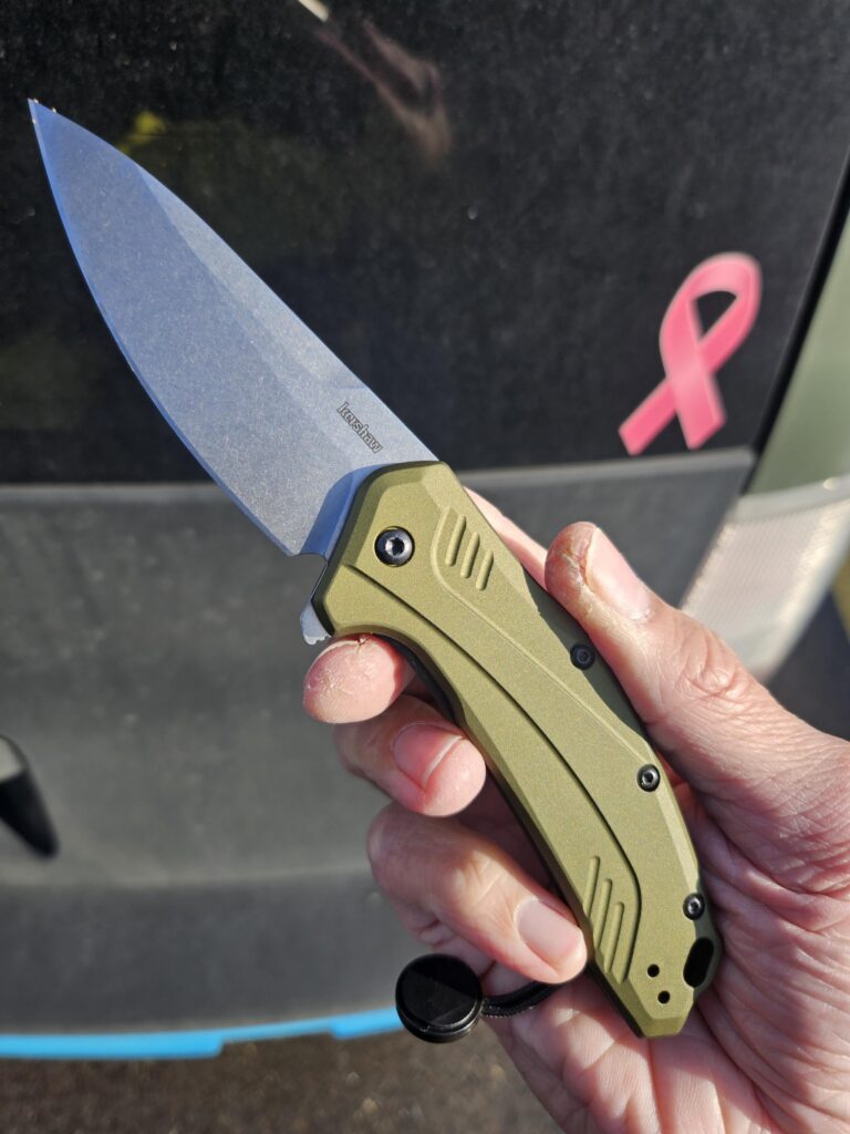 Flipper Friday
