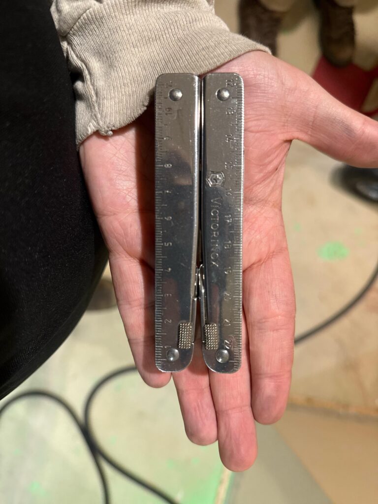 Look what I found buried!