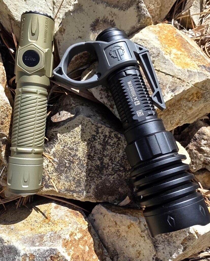 Dynamic Duo, happy Warrior Wednesday...