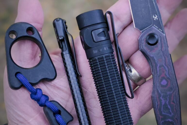 This evenings dinner carry