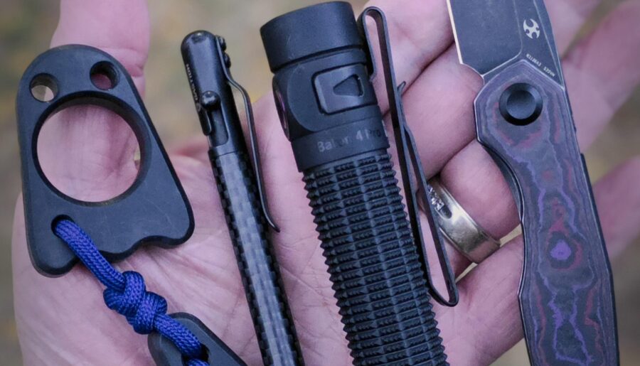 This evenings dinner carry