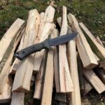 CRK Pacific in the back yard