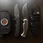 A couple of Foxes 🦊