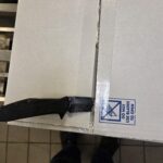 Become ungovernable.