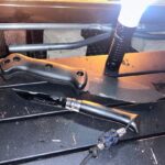 The Beauty and the Beast