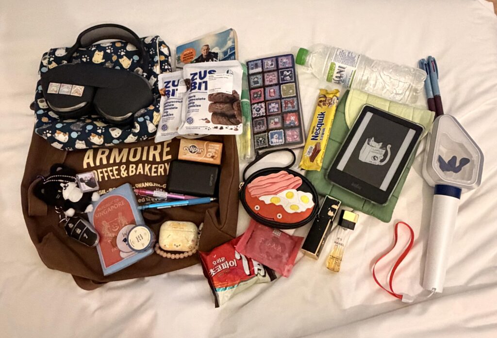 travelling for concert bag 😝