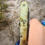 Found this snorkeling