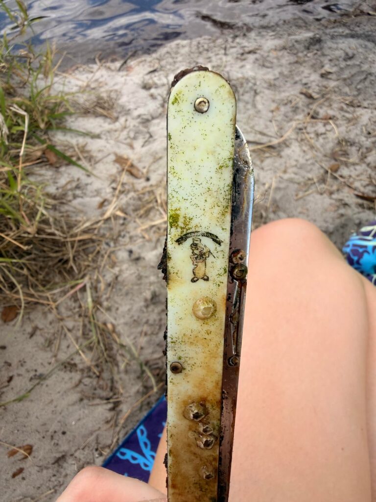 Found this snorkeling