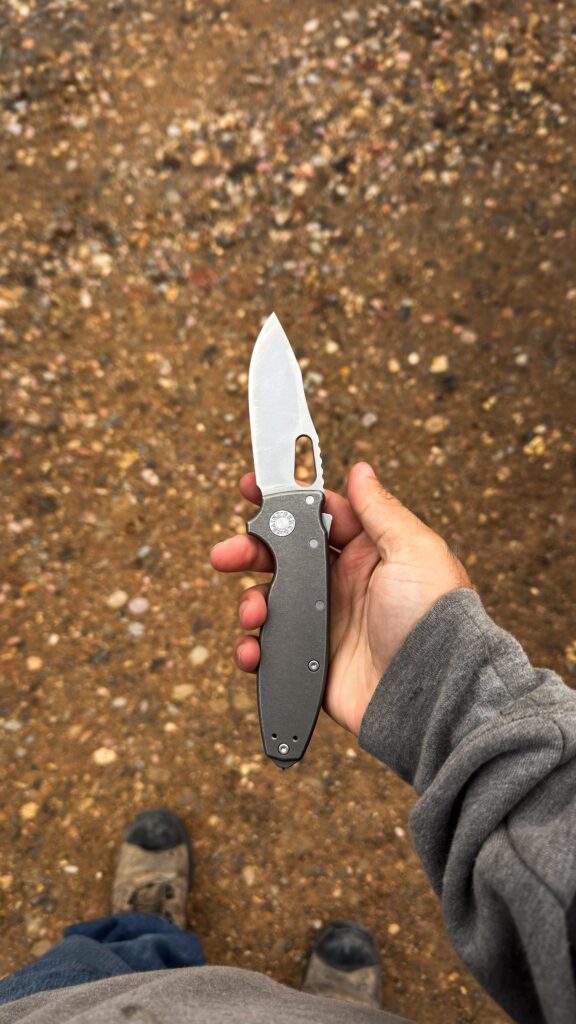 Demko type of day