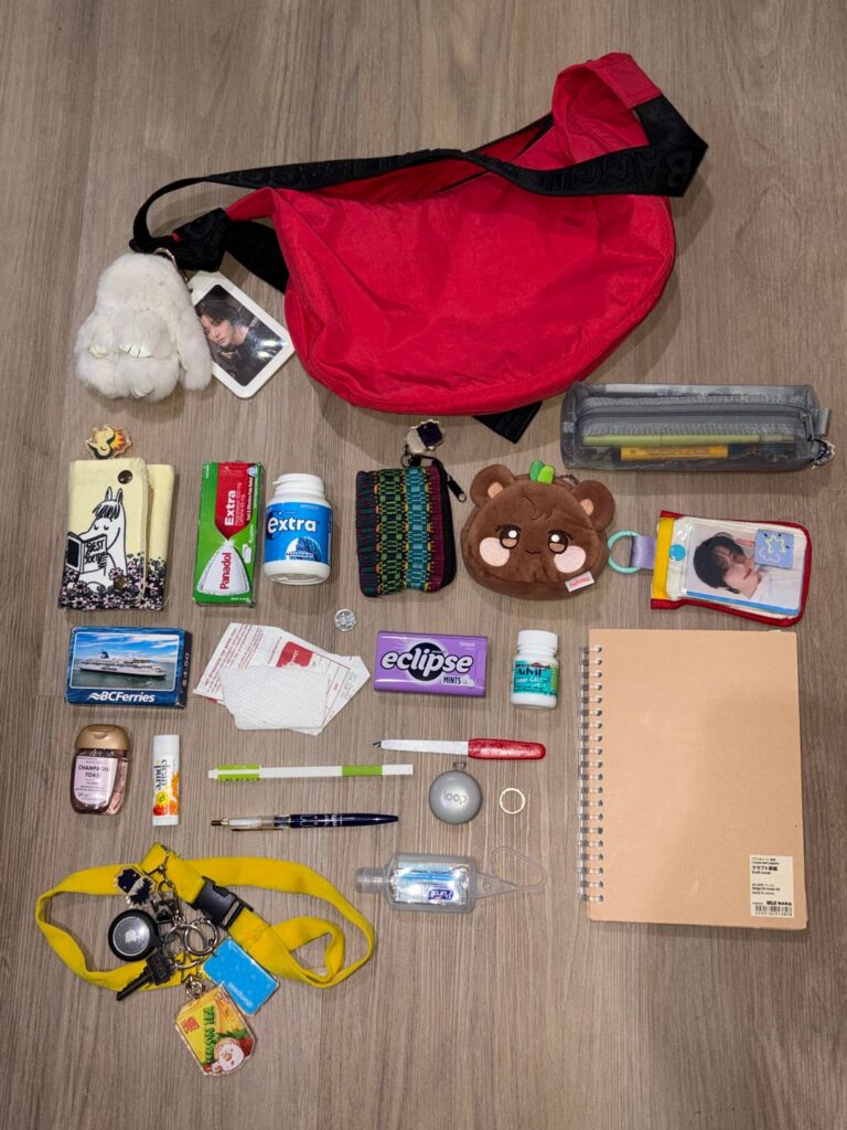 my daily bag but i have no aesthetic