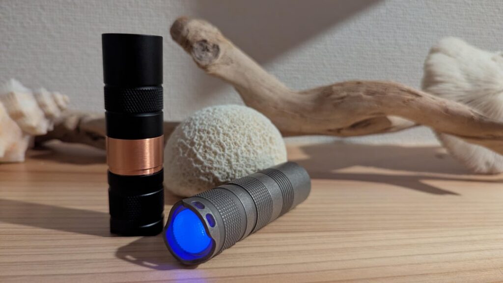 NLD - FCD (First Convoy Day)