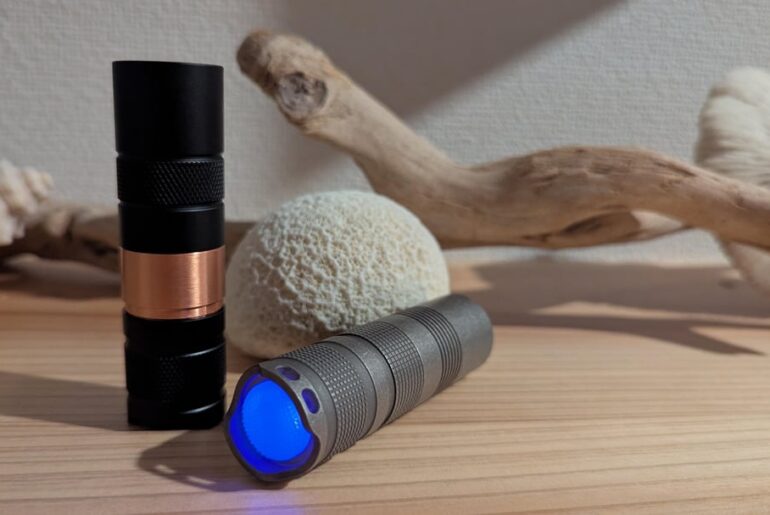 NLD - FCD (First Convoy Day)