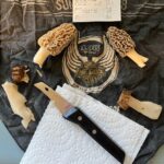 Four morels and a knife