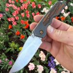 A2D at the Tulip Festival