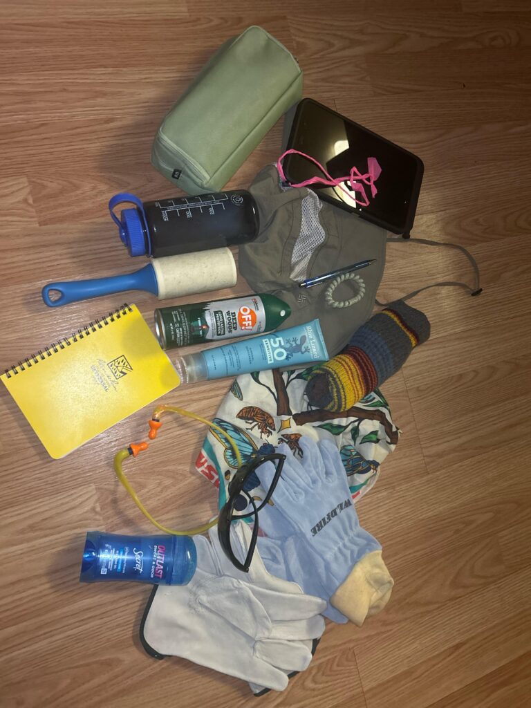 Bag detectives, do your worst