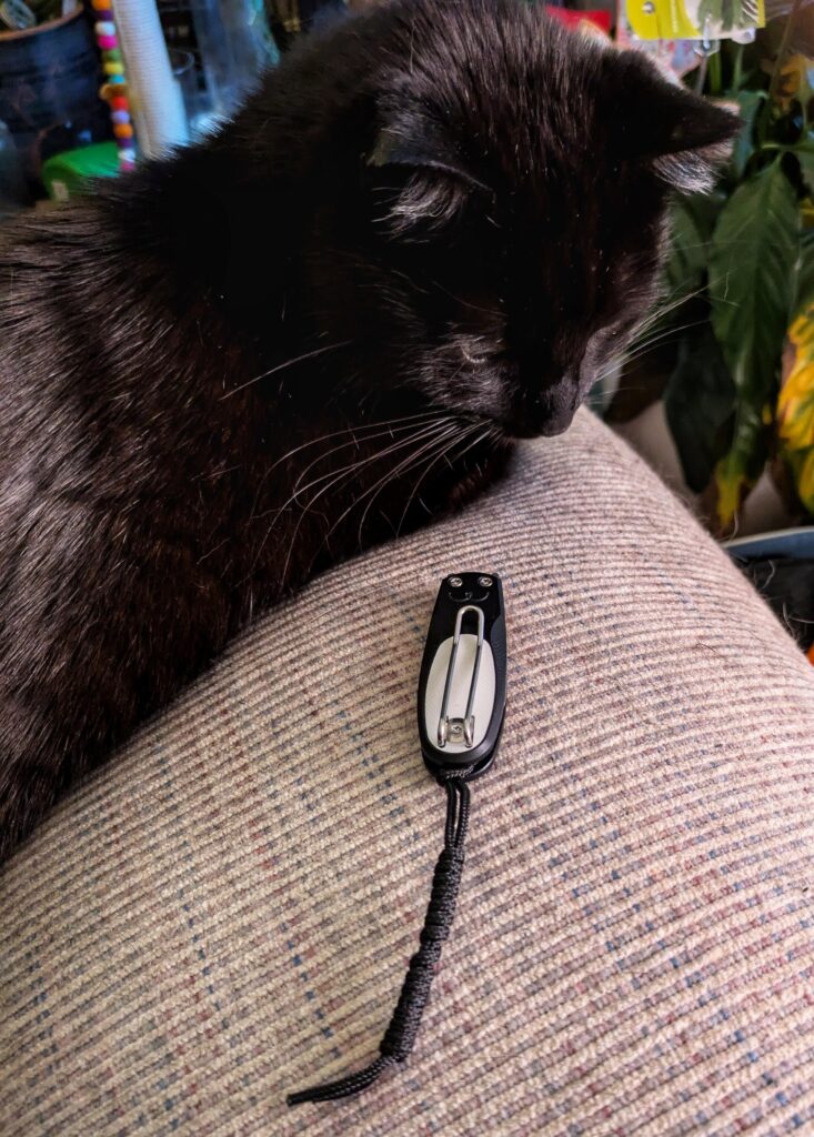 Mabel the cat is slightly interested in my new Civivi Purr.