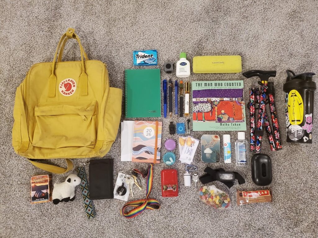 what are your impressions of me based on my every-single-day bag and contents?