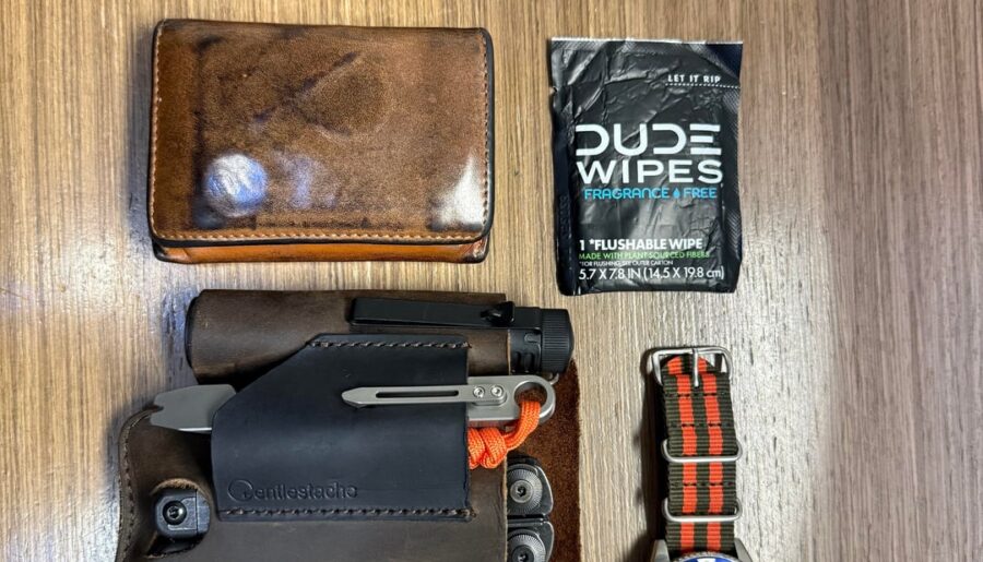 Daily carry with new addition