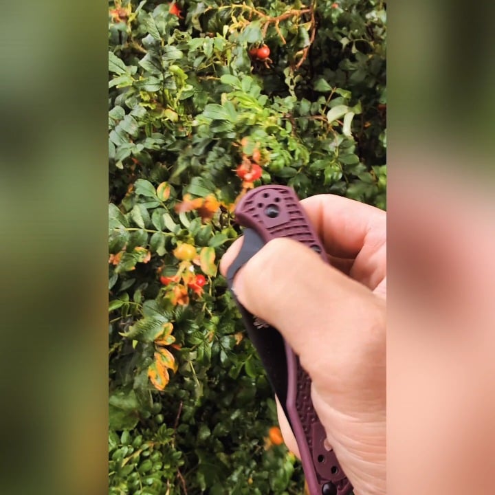 Spyderco Delica 4 C11BGBKP Burgundy Micro-Melt PD#1