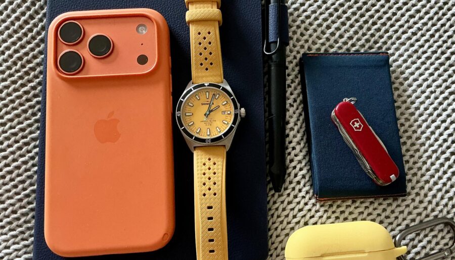 M, 53, Software Engineering Director