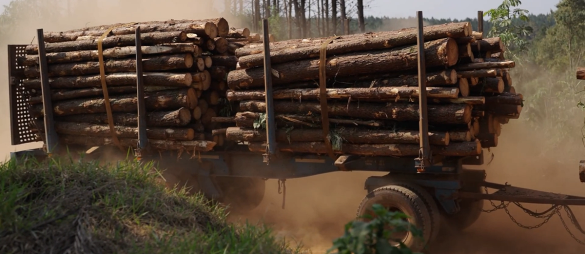 Gov. Whitmer declares energy emergency, allows farmers and loggers to use dyed diesel on roads | Michigan News