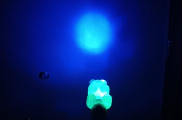 Gummie Bear Flashlight