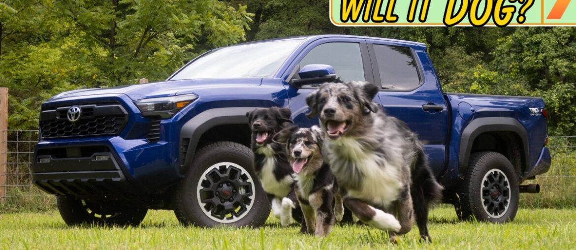 2024 Toyota Tacoma Review: Dirt-Road Tested With a Whole Family of Farm Dogs